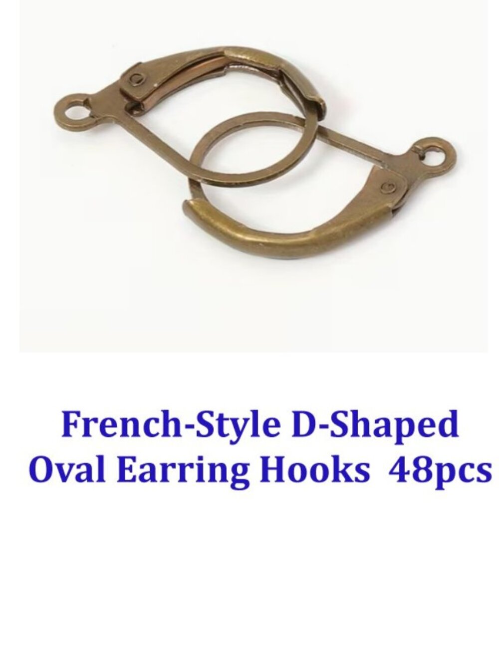 French-Style D-Shaped Oval Earring Hooks  48 Pcs